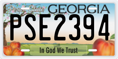 GA license plate PSE2394
