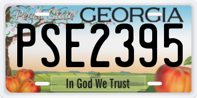 GA license plate PSE2395