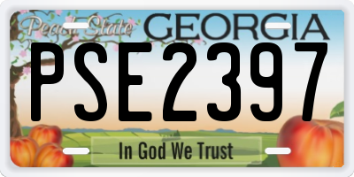 GA license plate PSE2397