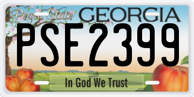 GA license plate PSE2399