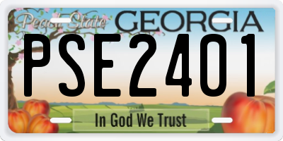 GA license plate PSE2401