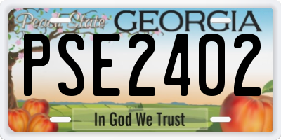 GA license plate PSE2402