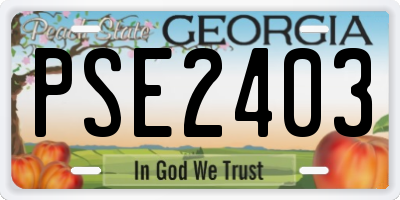 GA license plate PSE2403