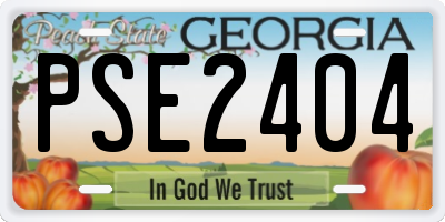 GA license plate PSE2404