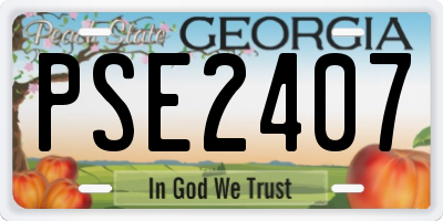 GA license plate PSE2407