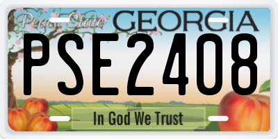 GA license plate PSE2408