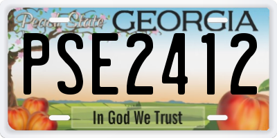 GA license plate PSE2412