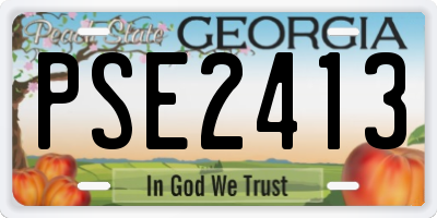 GA license plate PSE2413