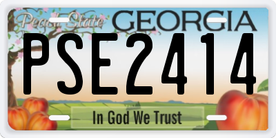 GA license plate PSE2414