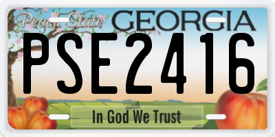 GA license plate PSE2416