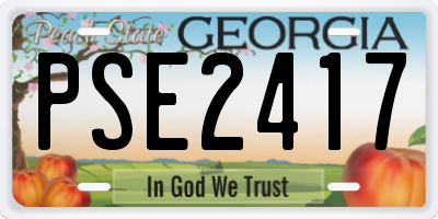 GA license plate PSE2417