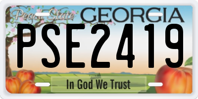 GA license plate PSE2419