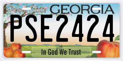 GA license plate PSE2424