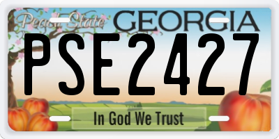 GA license plate PSE2427