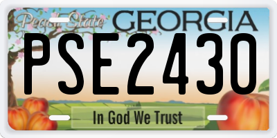 GA license plate PSE2430