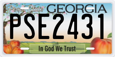 GA license plate PSE2431