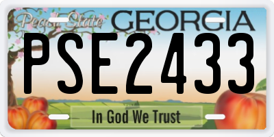 GA license plate PSE2433