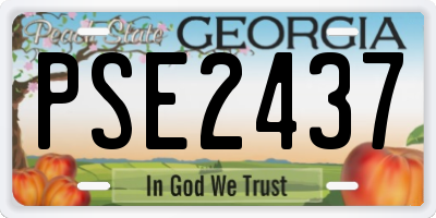 GA license plate PSE2437