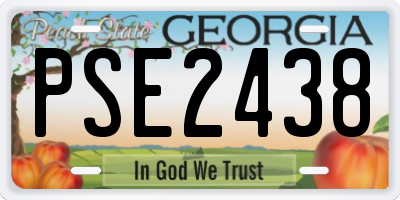 GA license plate PSE2438
