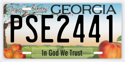 GA license plate PSE2441