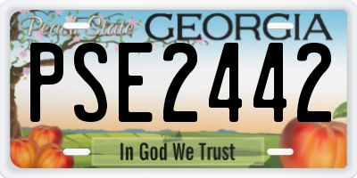 GA license plate PSE2442