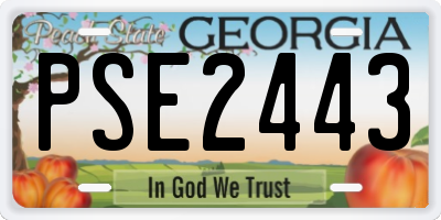 GA license plate PSE2443