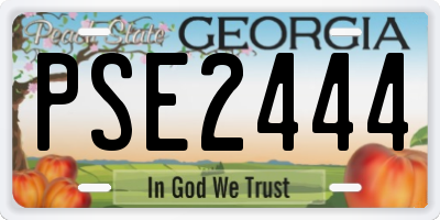 GA license plate PSE2444
