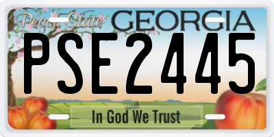 GA license plate PSE2445