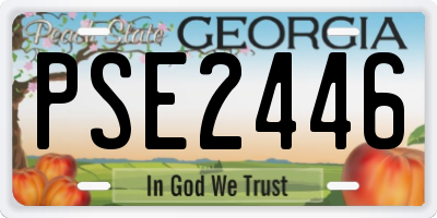 GA license plate PSE2446