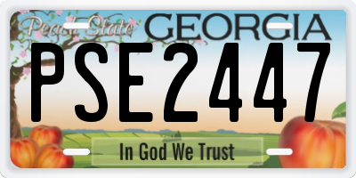 GA license plate PSE2447