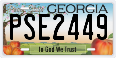 GA license plate PSE2449