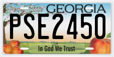 GA license plate PSE2450
