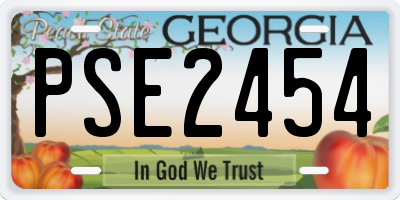GA license plate PSE2454