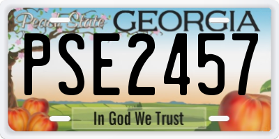 GA license plate PSE2457