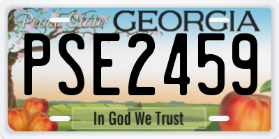 GA license plate PSE2459