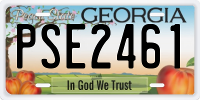 GA license plate PSE2461