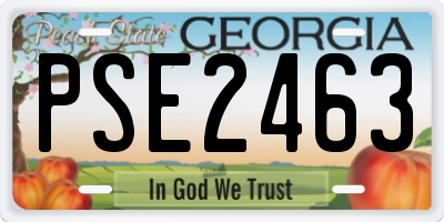 GA license plate PSE2463