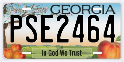 GA license plate PSE2464