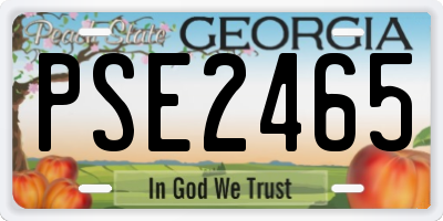 GA license plate PSE2465