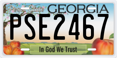 GA license plate PSE2467