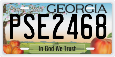 GA license plate PSE2468