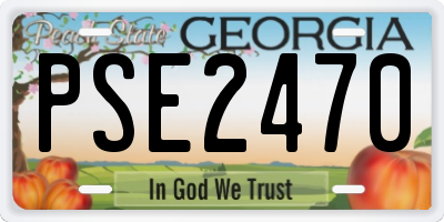 GA license plate PSE2470