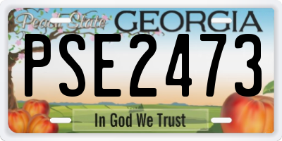 GA license plate PSE2473
