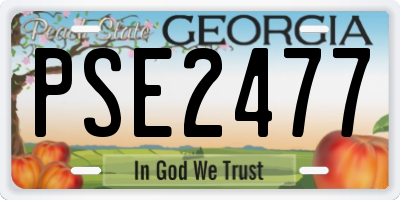 GA license plate PSE2477
