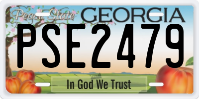 GA license plate PSE2479