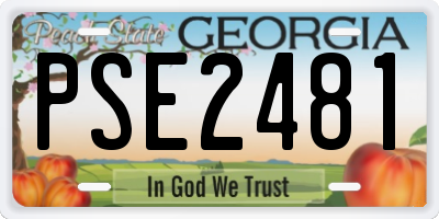 GA license plate PSE2481