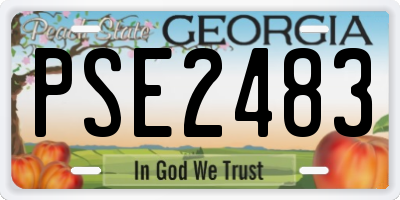 GA license plate PSE2483