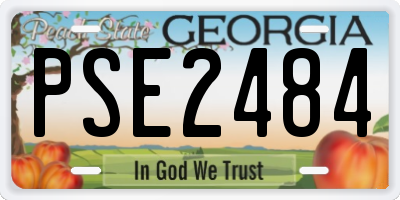 GA license plate PSE2484