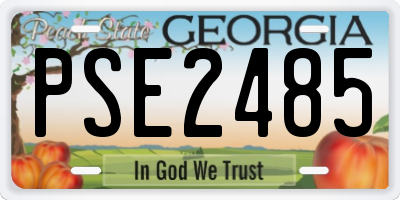 GA license plate PSE2485