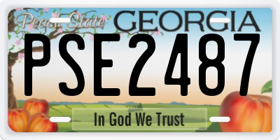 GA license plate PSE2487